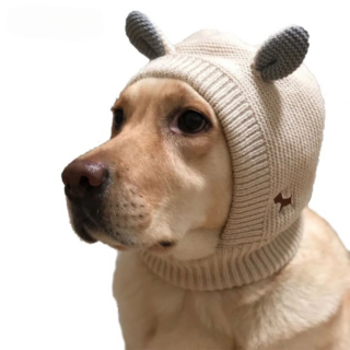 Bonnet d’Hiver Pour Grand Chien
