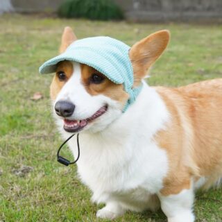 Casquette Pour Chien en Velours