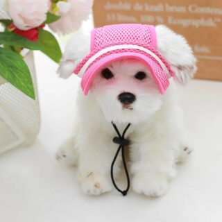 Casquette Pour Petit Chien